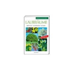 Laubb�ume