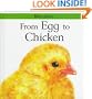 From Egg to Chicken (Lifecycles)