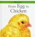 Books : From Egg to Chicken (Lifecycles)