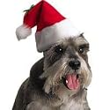 Santa Hats, Sizes: Small measures 4in wide