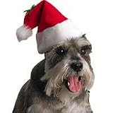 Santa Hats, Sizes: Small measures 4in wide
