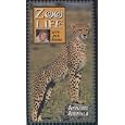 Zoo Life with Jack Hanna: Amazing Animals by 
