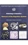 Pathology and Genetics of Tumours of the Digestive System