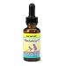 Herbs For Kids Willow/Garlic Oil Alcohol-Free - 1 Oz