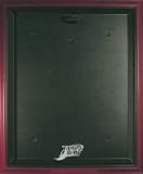 Mounted Memories Tampa Bay Rays Mahogany Framed Jersey Display Case