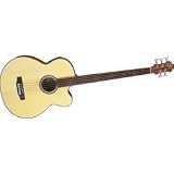 Acoustic Bass Guitars