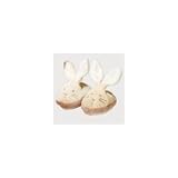 Teddykompaniet Soft Velvet Pram Shoes - Cream Rabbit