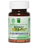 DHEA Pro - A Superior Supplement For DHEA Support