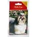 shih_tzu47shih tzu - Shih Tzu Playing Cards