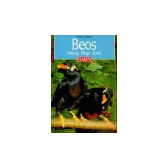 Beos. Haltung. Pflege. Zucht.