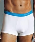 Calvin Klein Mens Pro Mesh  Trunk