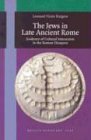 The Jews in Late Ancient Rome: Evidence of Cultural Interaction in the Roman Diaspora (Brill's Scholars' List)
