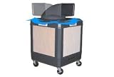 Evaporative Cooler 1 Hp Oscillating Gray