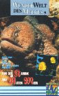 Wunderwelt des Meeres 9 - Von der Karibik zum Roten Meer
