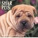 Dog Breeds Shar Peis Calendar