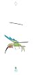 Bird Brain Glass Flapper Hummingbird