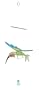 Bird Brain Glass Flapper Hummingbird