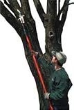 POLE PRUNER COMPLETE CORONA