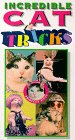 Incredible Cat Tricks
