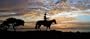 Lone Ranger rear window graphic