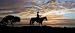 Lone Ranger rear window graphic
