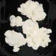 Kefir Grains Starter Kit, Live Grain, Dairy Culture by Anahata Balance