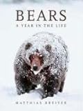 Bears: A Year in the Life