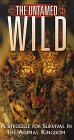 Untamed Wild
