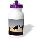 Kike Calvo Desert - Desert Camels are a way of transportation,and are also used for racing at Dubai Camel Racecourse - Water Bottles