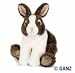 Dutch Bunny