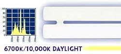 Current USA 18W Dual Daylight Piece Bulb