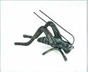 Hearth Cricket - Verdigris