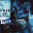 Coil [Musikkassette] [US-Import] - Toad the Wet Sprocket