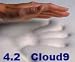 Cover with 4.2 Cloud9 Twin 2 Inch Visco Elastic Memory Foam Mattress Pad Bed Topper Overlay 100% Visco Elastic Memory Foam For Comfort with Cover to Protect Your Visco Elastic Memory Foam Topper to Better Ensure That Your Visco-Elastic Mattress Pad Remains in Good Condition