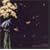Burst and Bloom