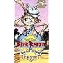 Brer Rabbit & Boss Lion [VHS]