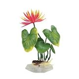 Water Hyacinth - 5 in. - Purple