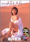 酒井若菜 ATLAS