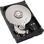 Seagate Barracuda ATA IV - Hard drive - 40 GB - internal - 3.5 - ATA-100 - 7200 rpm - buffer: 2 MB