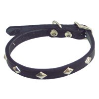 Circle T Diamond Stud Leather Collar- 3/8" width