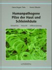 Bild zu: Humanpathogene Pilze der Haut und Schleimh&auml;ute: Entnahme, Anzucht, Differenzierung