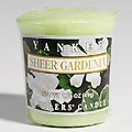 Sheer Gardenia Full Case of Yankee Votives by Yankee Candle