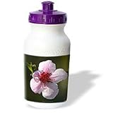Lee Hiller Photography Hot Springs National Park - Pink Cherry Blossom Spring - Water Bottles