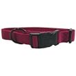 Hamilton 1-Inch Adjustable Dog Collar, Large, Fits 18-Inch by 26-Inch, Wine