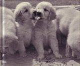 What Puppies Do