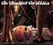 Books : The Steadfast Tin Soldier