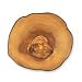 Lifestyle Collections Set 2 Mats - Olive Wood