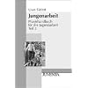 Praxishandbuch f�r die Jugendarbeit 2. Jungenarbeit: TEIL 2