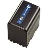 Sony NP-QM91D Lithium-Ion Battery for DCR-DVD101, 201, 301, SR1 & HDR-HC1 Camcorders