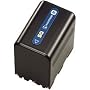 Sony NP-QM91D Lithium-Ion Battery for DCR-DVD101, 201, 301, SR1 & HDR-HC1 Camcorders